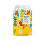 Fortnum & Mason Orange & Lemon Cold Brew Infusion, 20 Silky Tea Bags, 60g