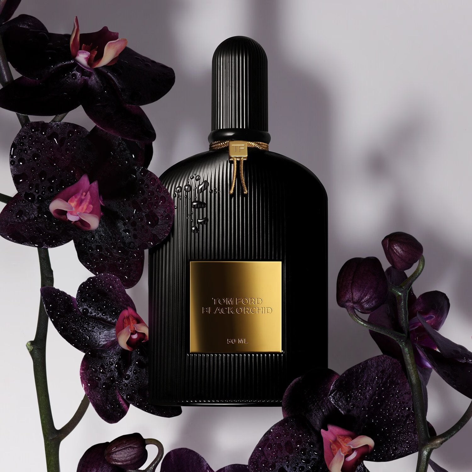 Tom ford black orchid 100ml sale